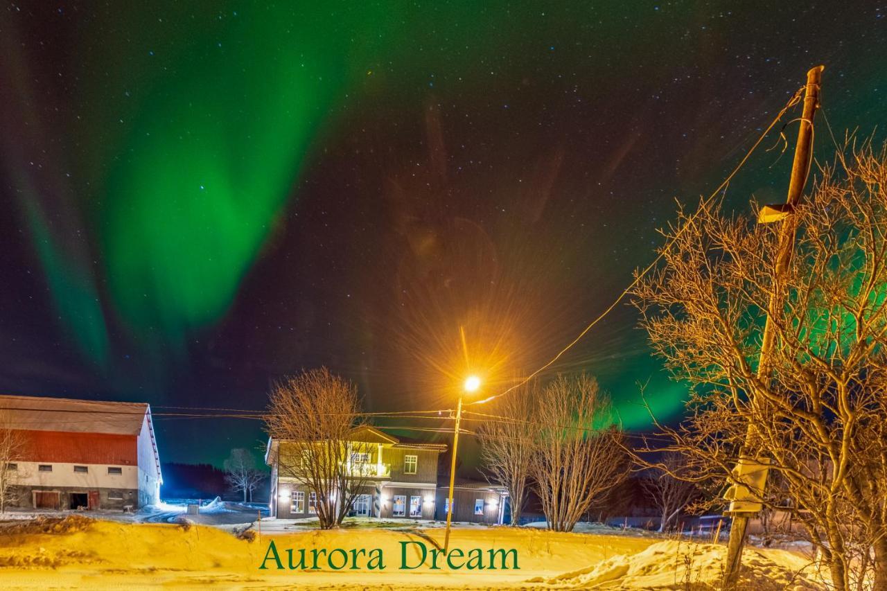 Aurora Dream Διαμέρισμα Svensby Εξωτερικό φωτογραφία